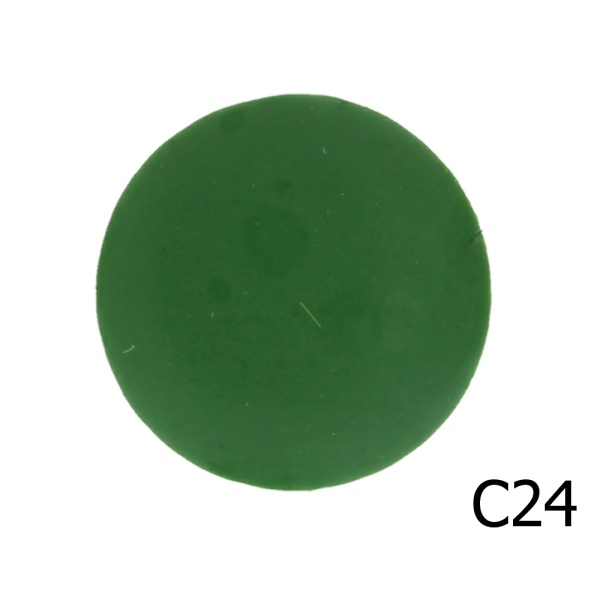 C24