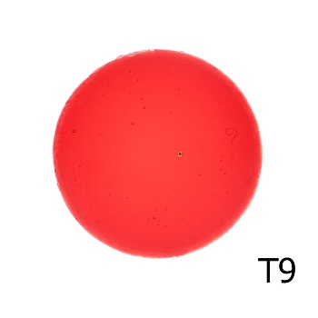 Эмаль прозрачная Т9, 100гр