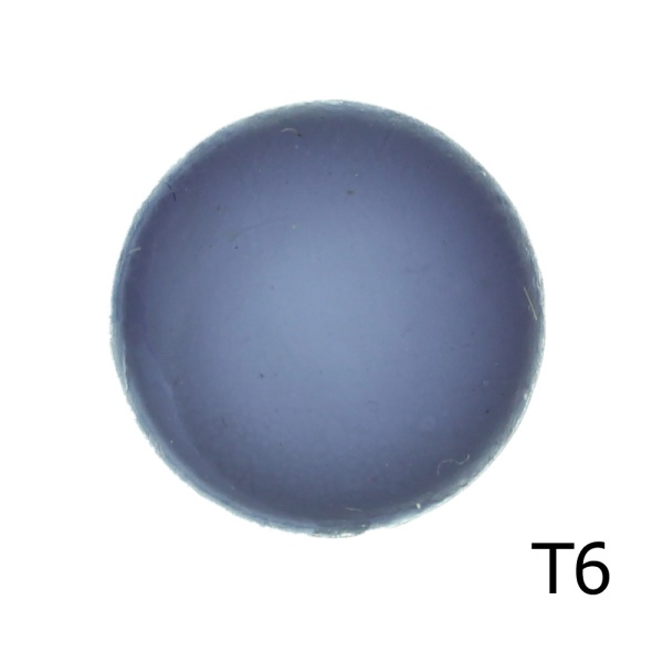 T6