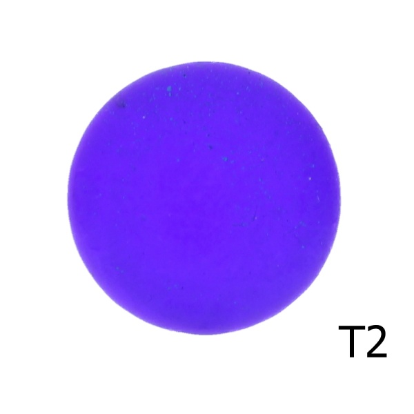 T2