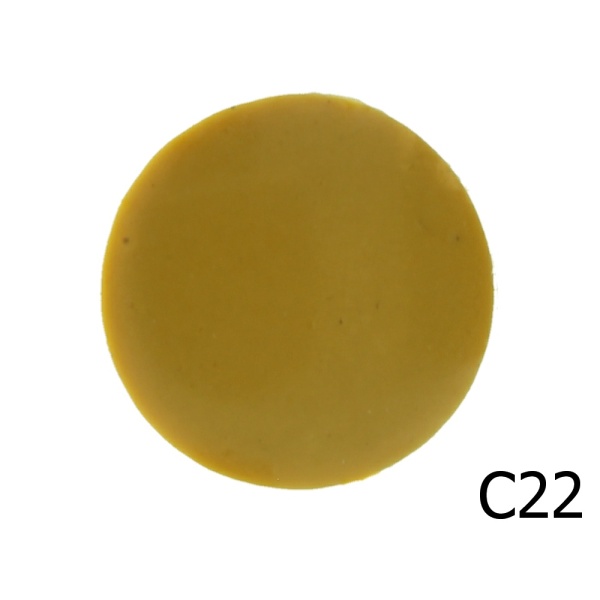 C22