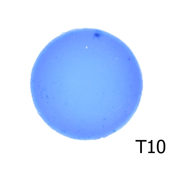 T10