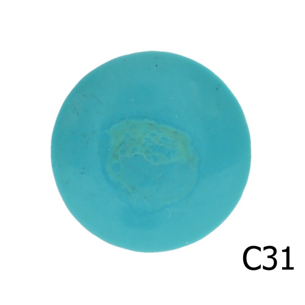 C31