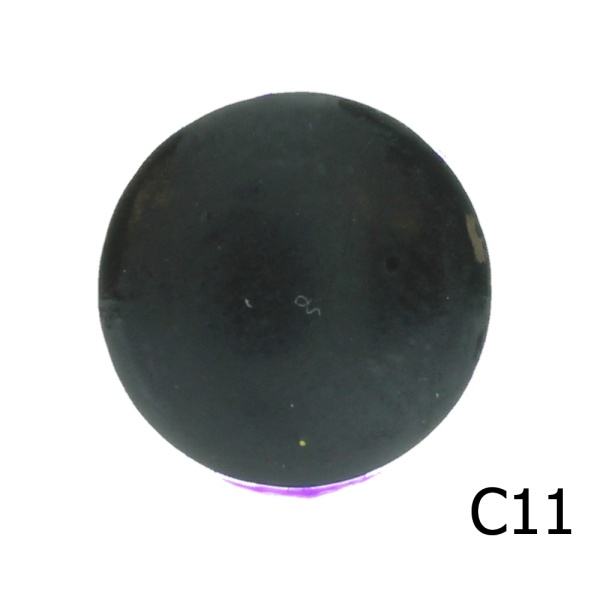 C11