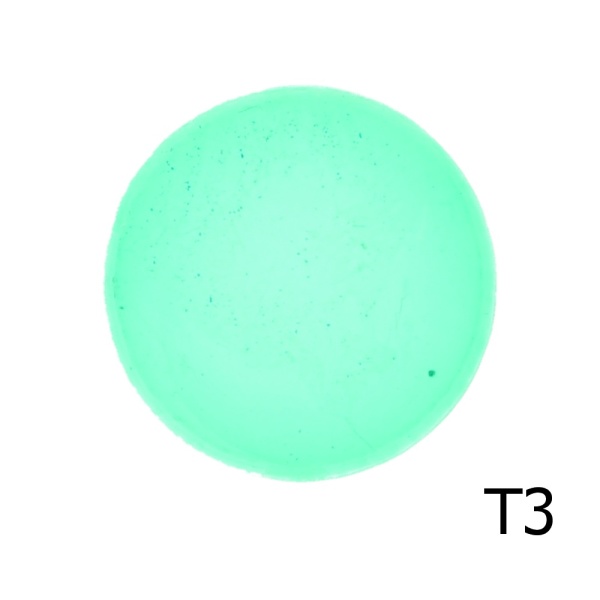 T3
