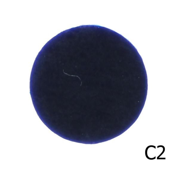 C2