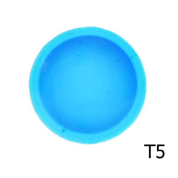 T5