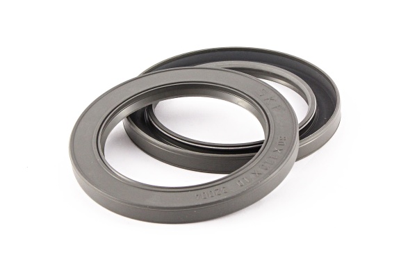 salnik_cf9_18_E018-01-009